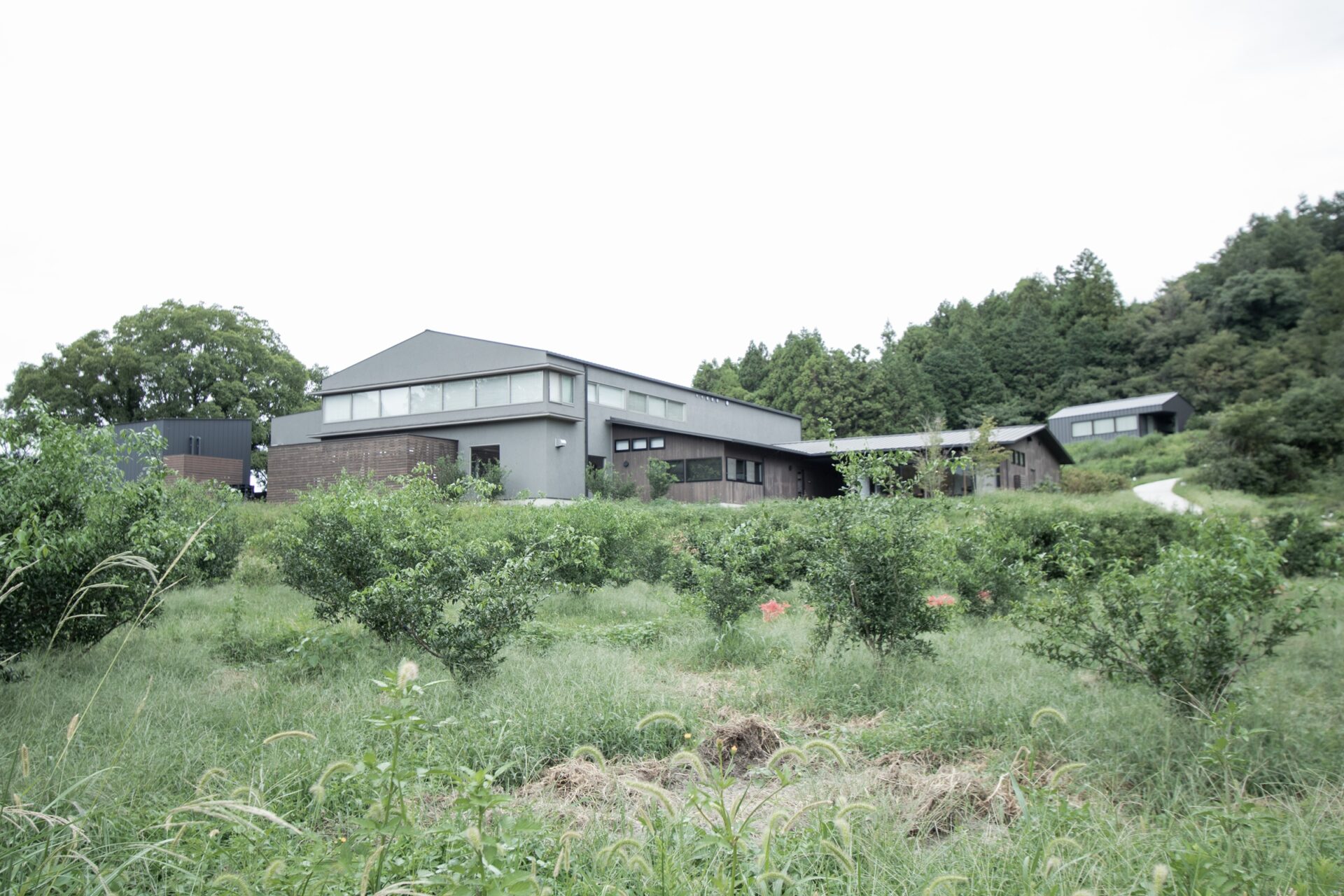 山神果樹薬草園／島津臣志建築設計事務所